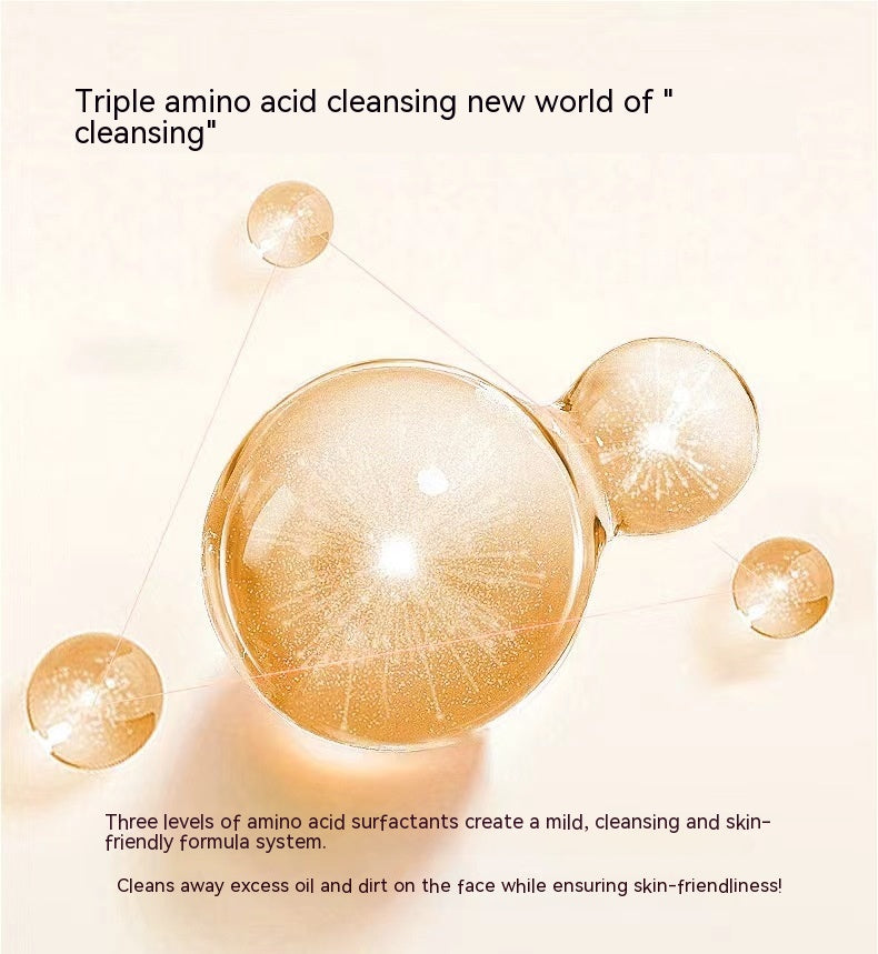 Camellia Amino Acid Oil Control Deep Cleansing Moisturizing Facial Cleanser Improve Pores Mild